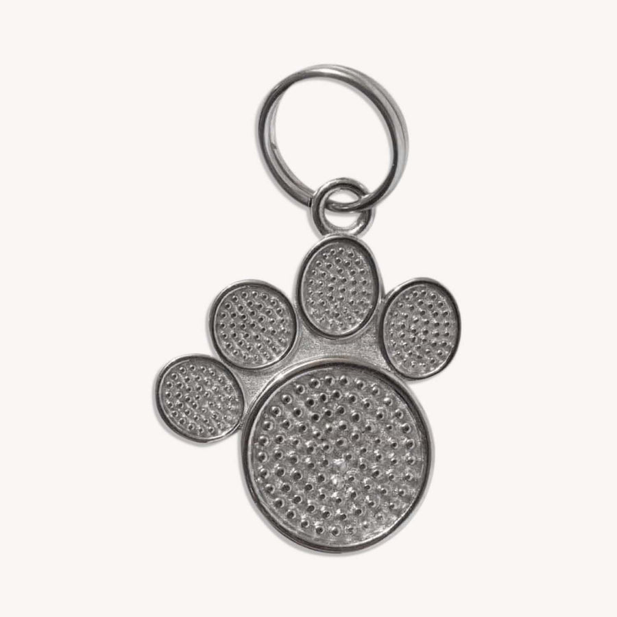 Moonglow Pet Tag in Stainless Steel